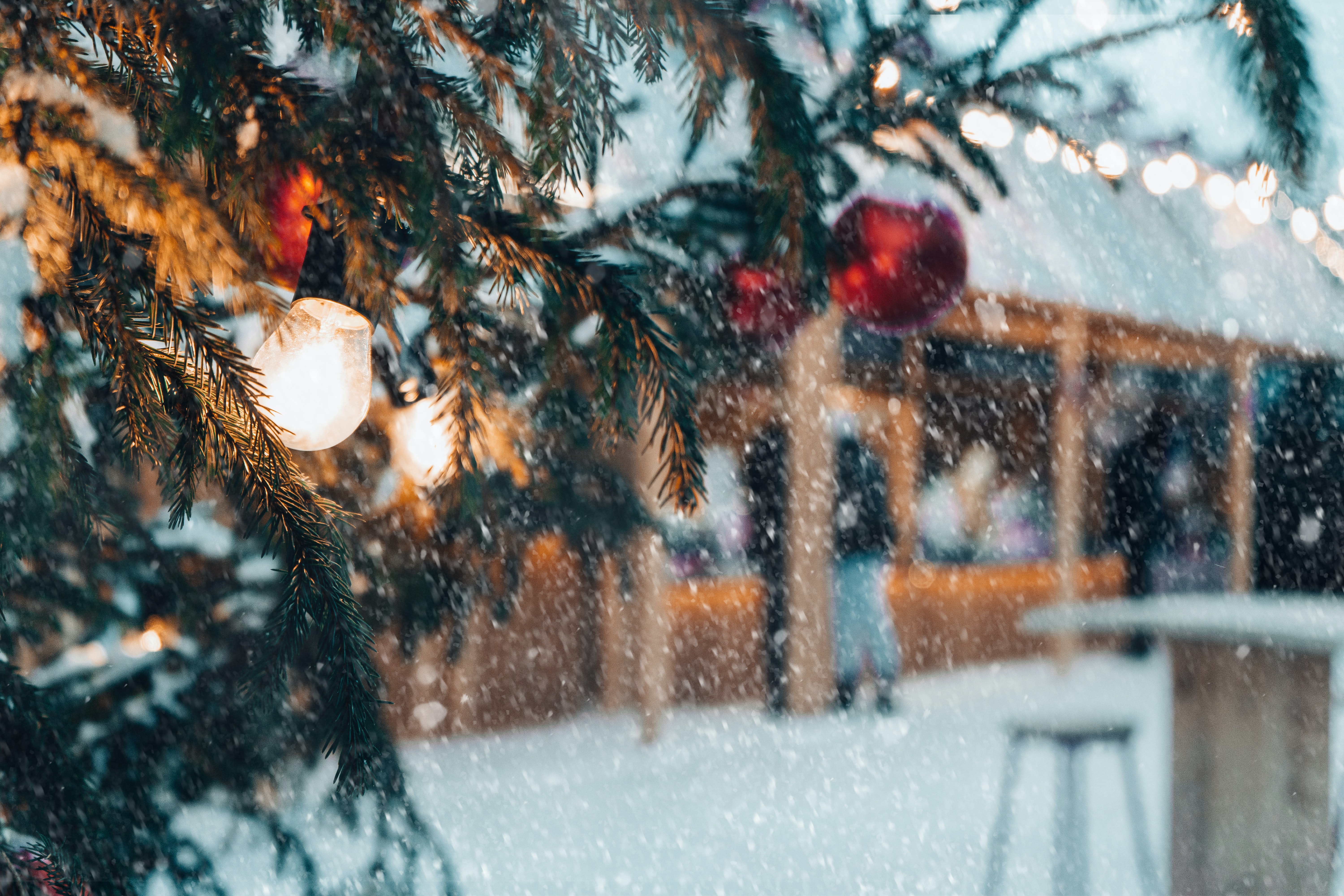 snow scene 
