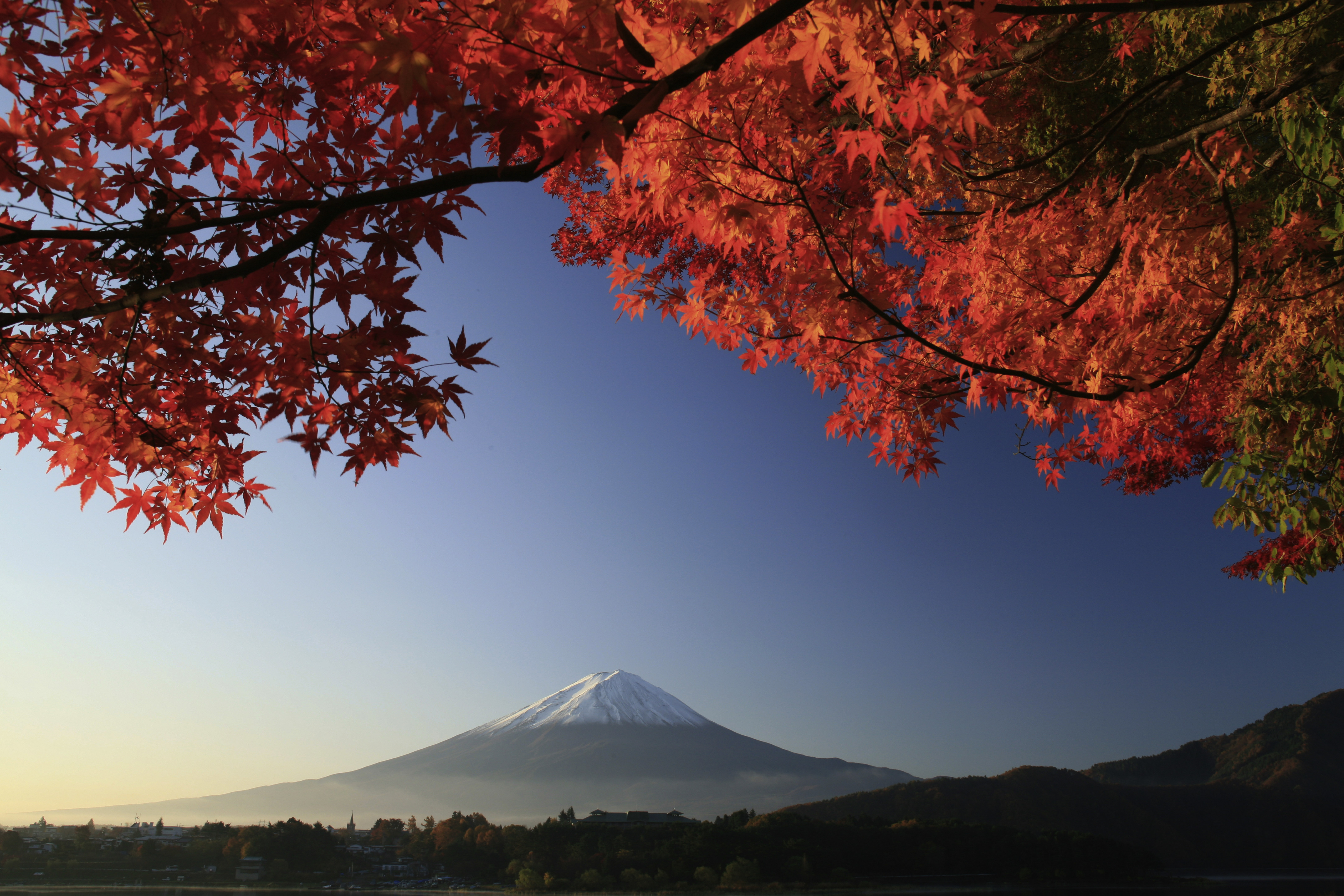 view of Mt Fuji with fall foliage
