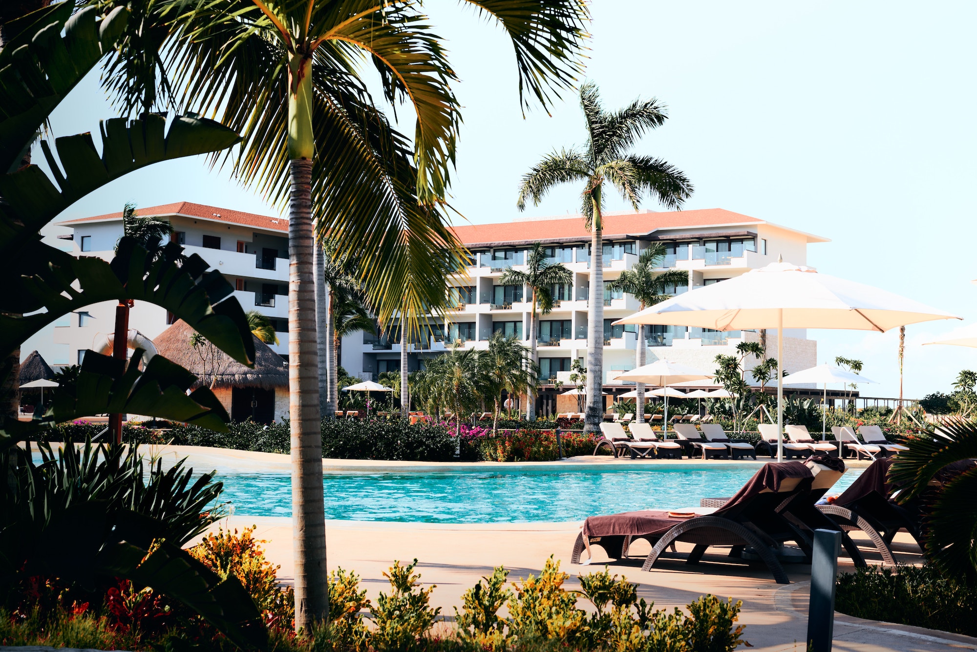 hotel and airline loyalty programs