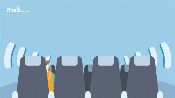 TripIt Zoom backgrounds