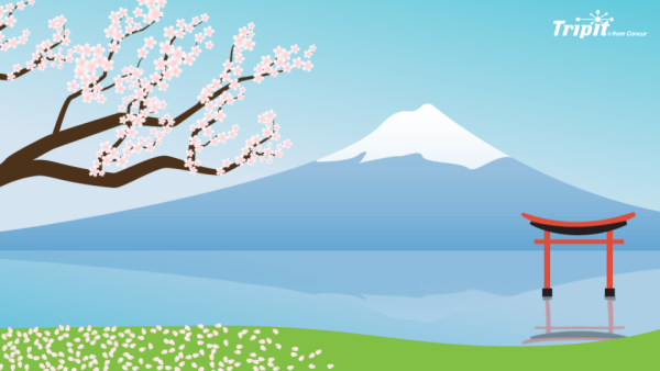 TripIt Zoom backgrounds