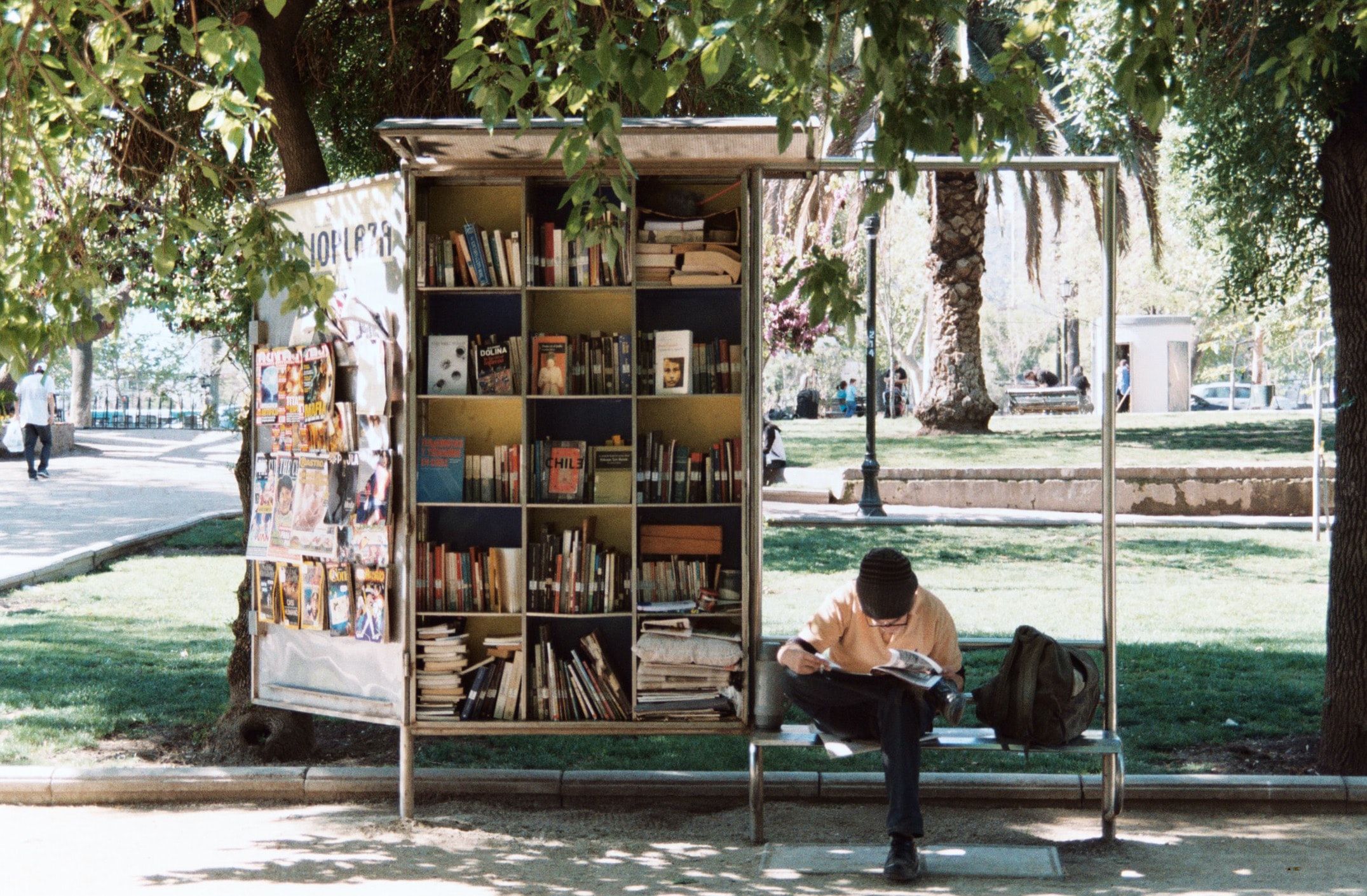 diverse summer reading list