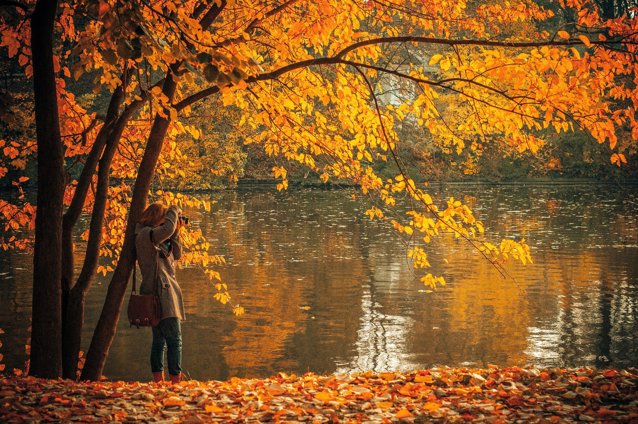 leaf-peeping
