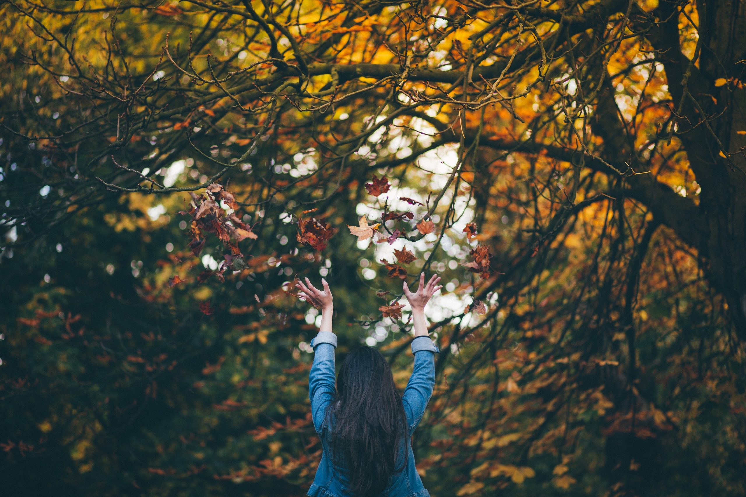 low stress Thanksgiving travel