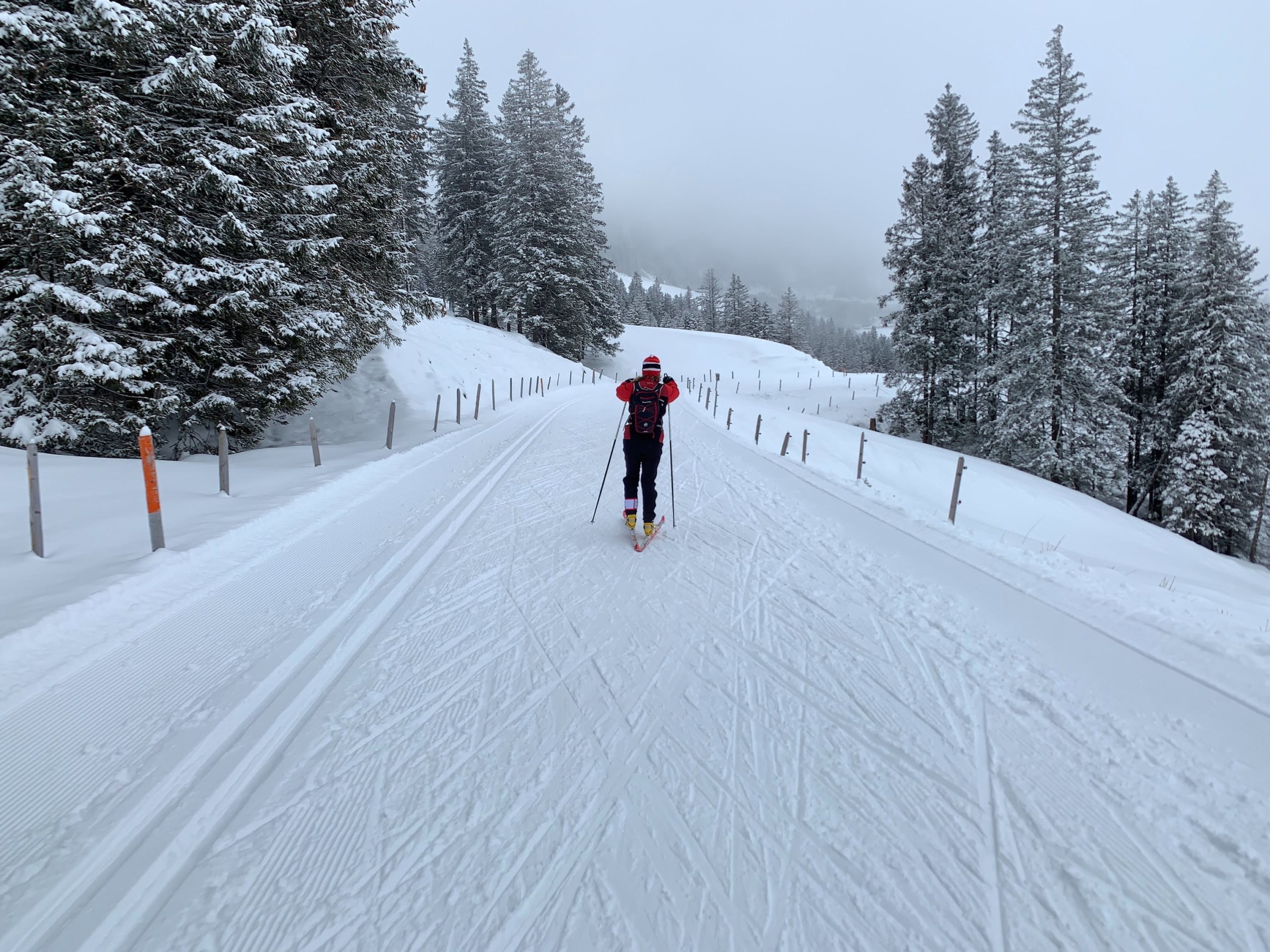 cross-country skiing