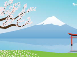 TripIt Zoom backgrounds