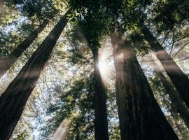 carbon offsets