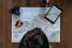 Informations pays de TravelHealthPro